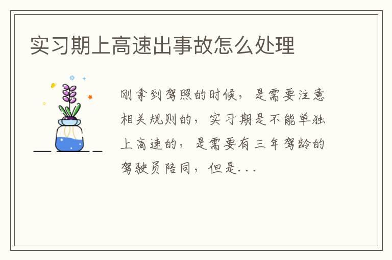 实习期上高速出事故怎么处理