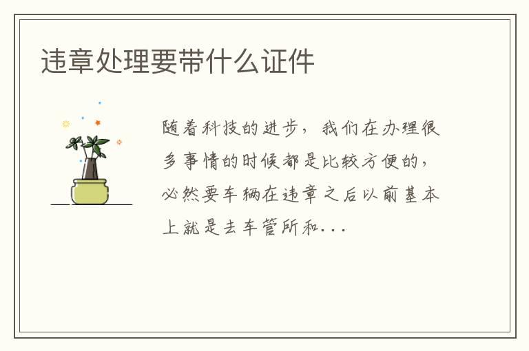 违章处理要带什么证件