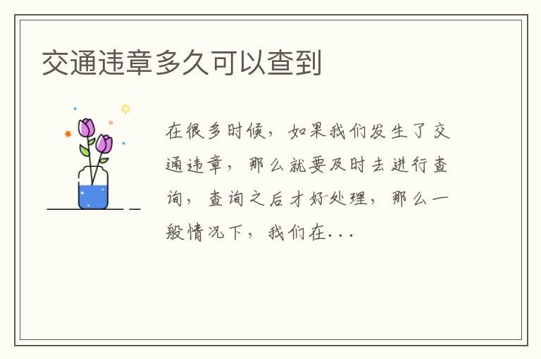 交通违章多久可以查到