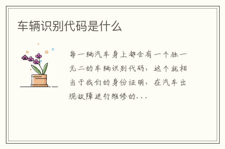 车辆识别代码是什么