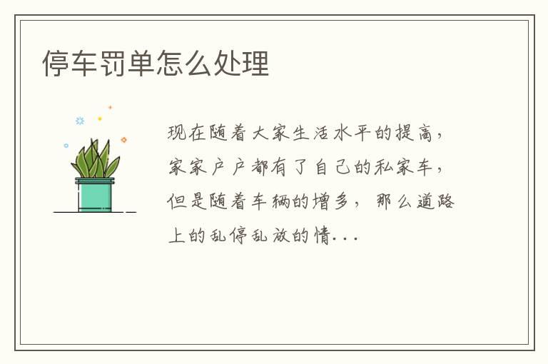 停车罚单怎么处理