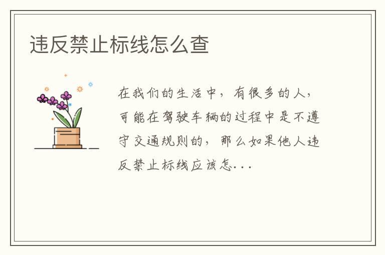 违反禁止标线怎么查