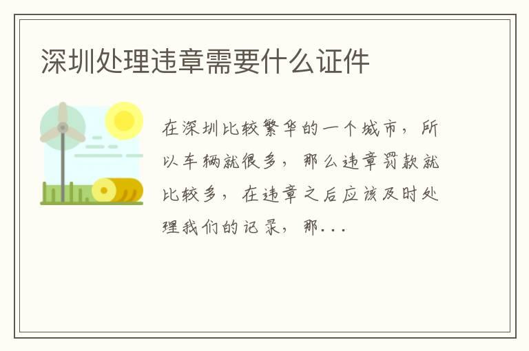 深圳处理违章需要什么证件