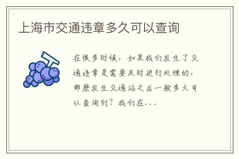 上海市交通违章多久可以查询