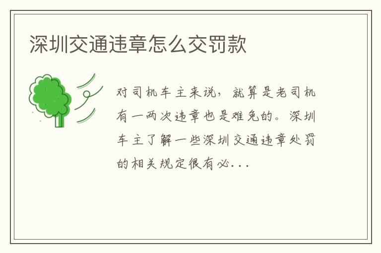 深圳交通违章怎么交罚款