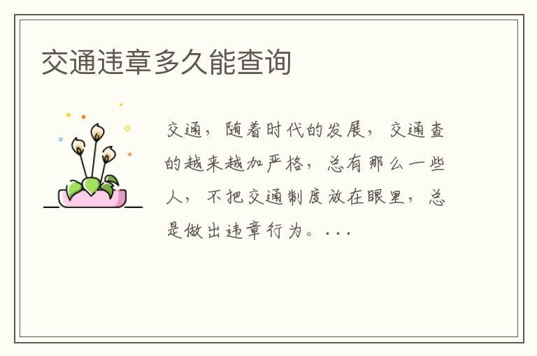 交通违章多久能查询
