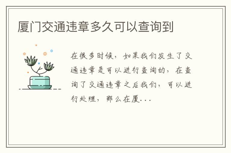 厦门交通违章多久可以查询到