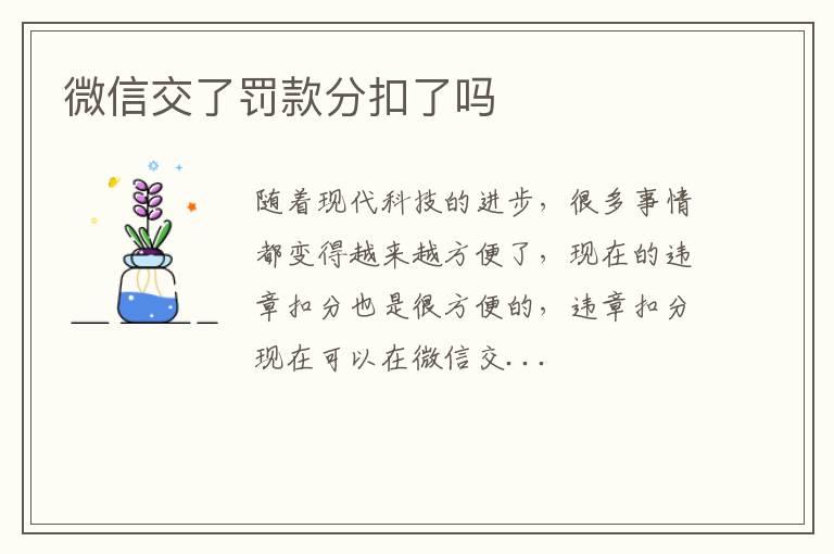 微信交了罚款分扣了吗
