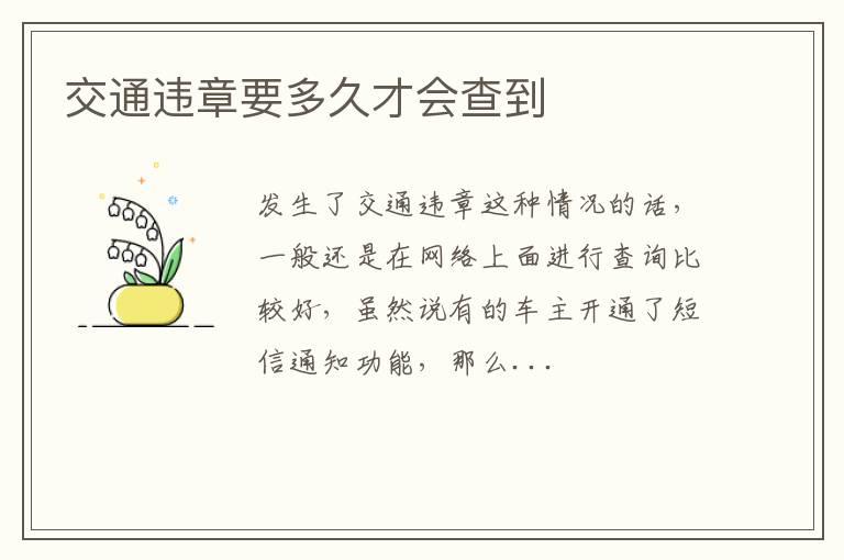 交通违章要多久才会查到