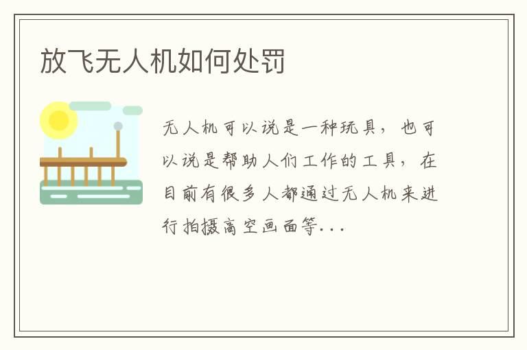 放飞无人机如何处罚