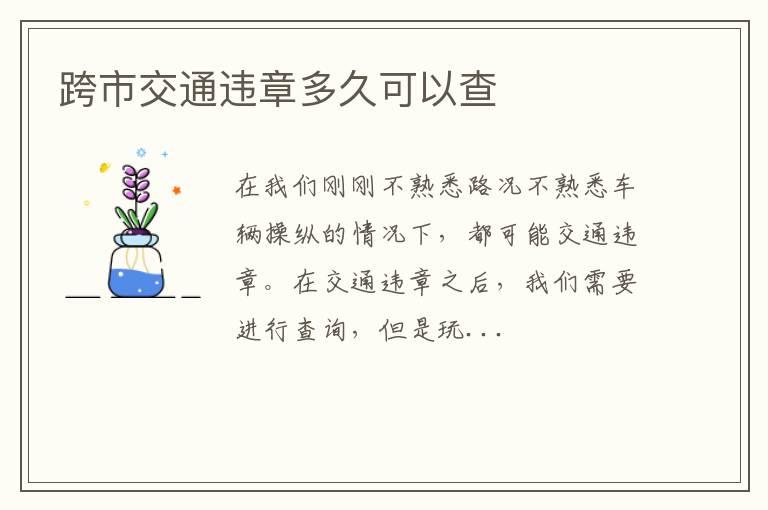 跨市交通违章多久可以查