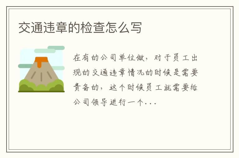 交通违章的检查怎么写