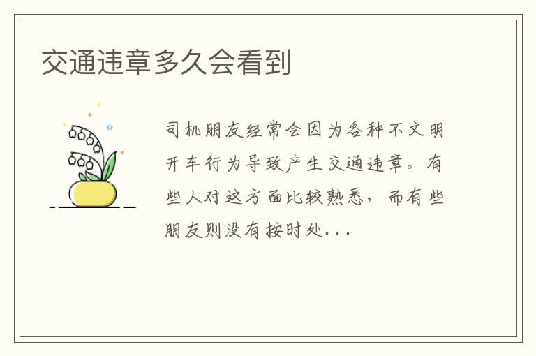 交通违章多久会看到