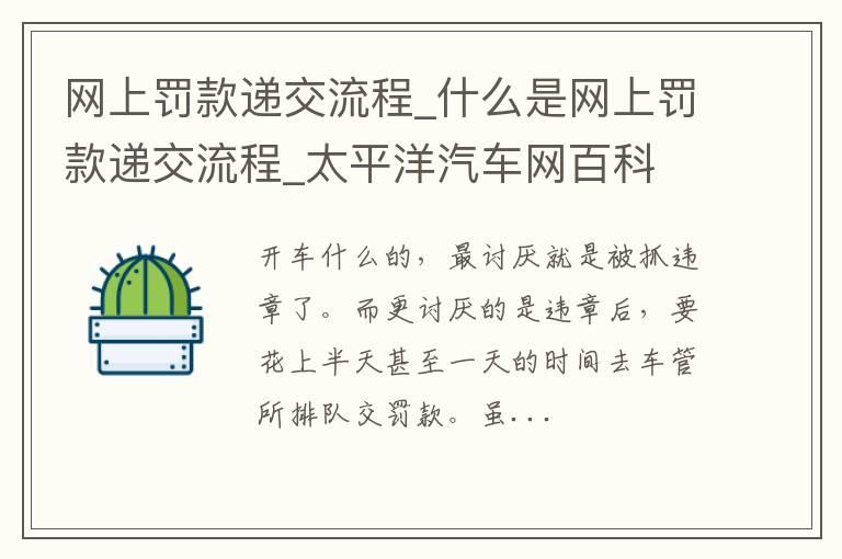 网上罚款递交流程_什么是网上罚款递交流程
