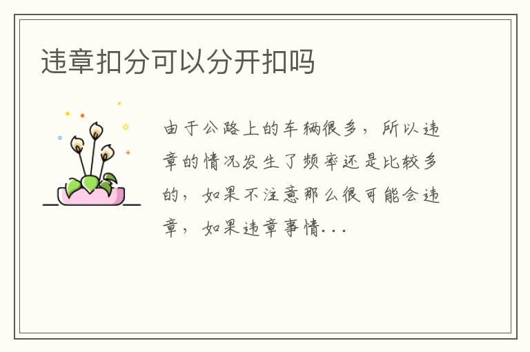 违章扣分可以分开扣吗