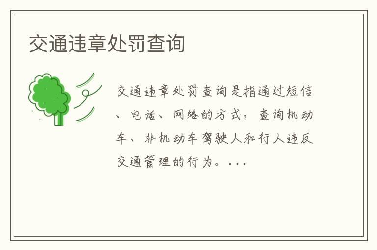 交通违章处罚查询