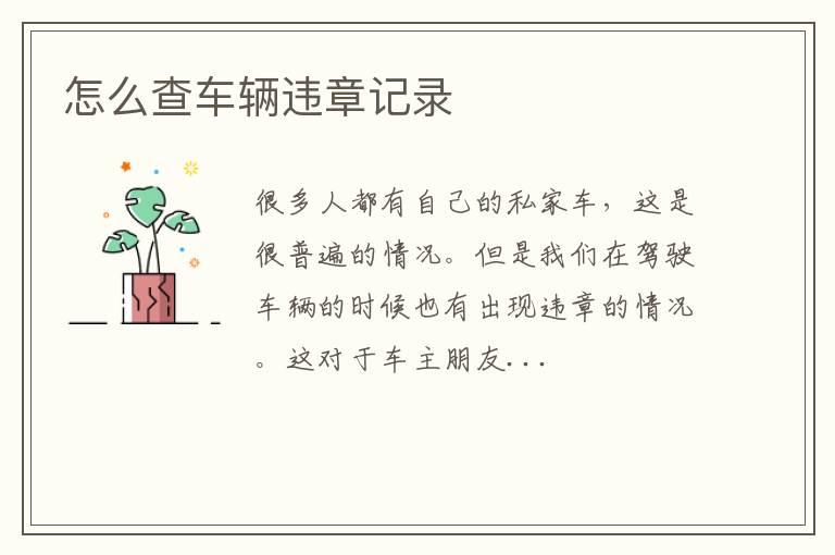 怎么查车辆违章记录