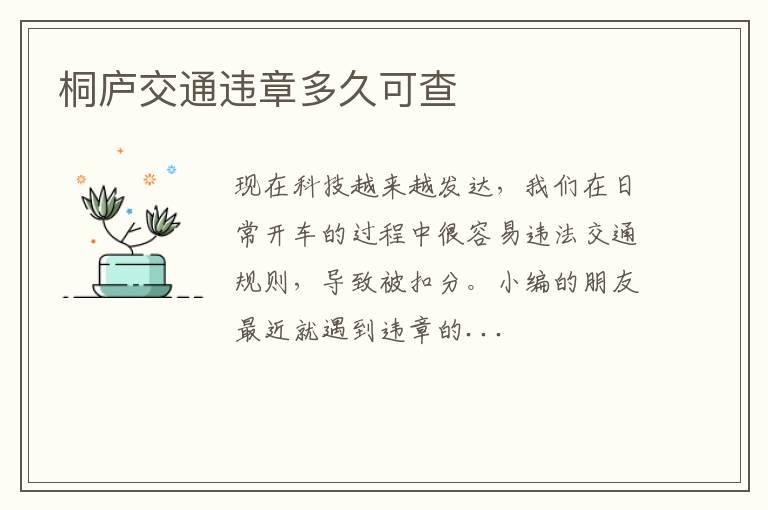 桐庐交通违章多久可查