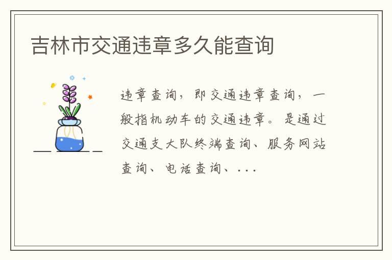 吉林市交通违章多久能查询