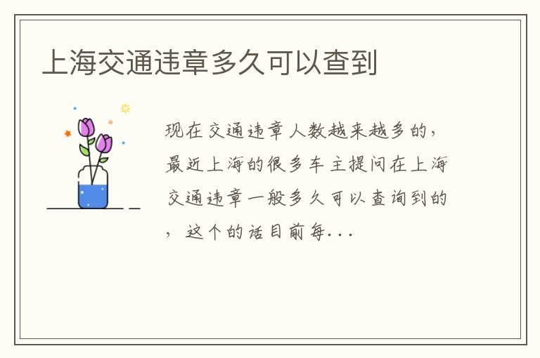 上海交通违章多久可以查到