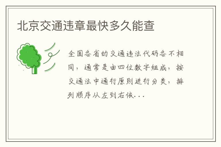 北京交通违章最快多久能查
