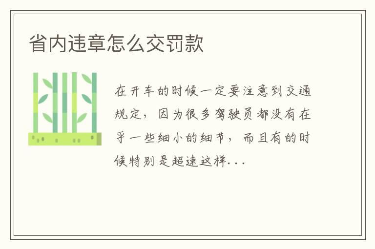 省内违章怎么交罚款