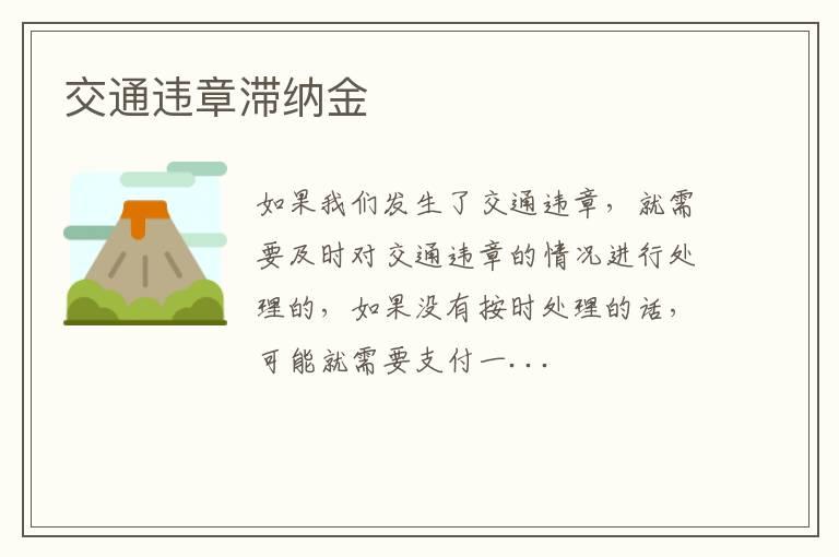 交通违章滞纳金