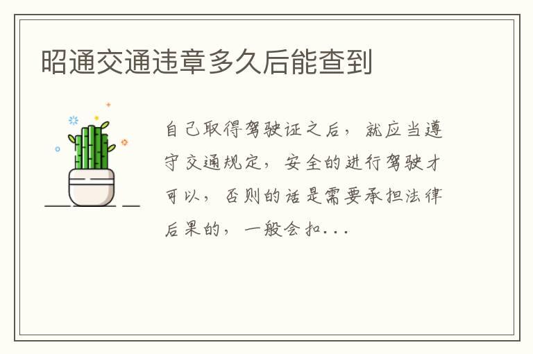 昭通交通违章多久后能查到