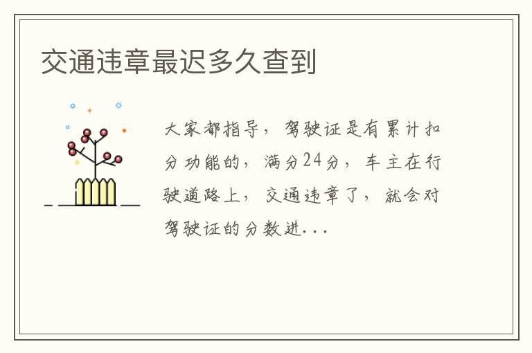 交通违章最迟多久查到