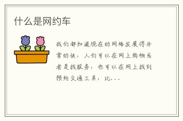 什么是网约车