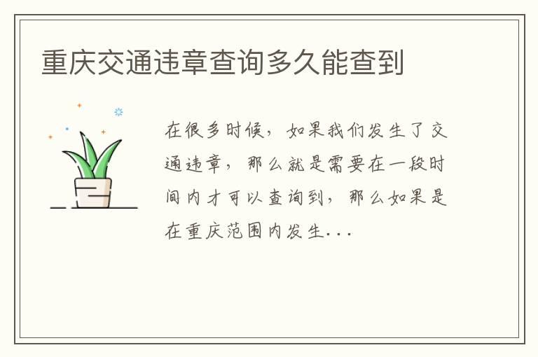 重庆交通违章查询多久能查到