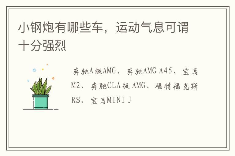小钢炮有哪些车，运动气息可谓十分强烈
