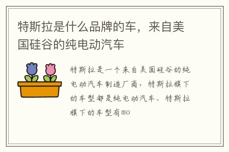 特斯拉是什么品牌的车，来自美国硅谷的纯电动汽车