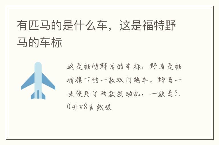 有匹马的是什么车，这是福特野马的车标