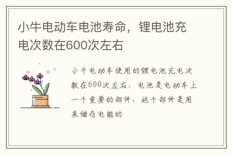 小牛电动车电池寿命，锂电池充电次数在600次左右