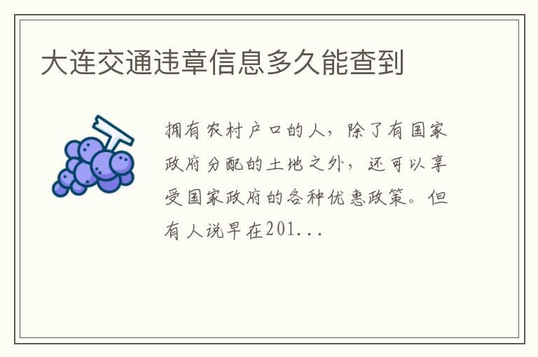 大连交通违章信息多久能查到