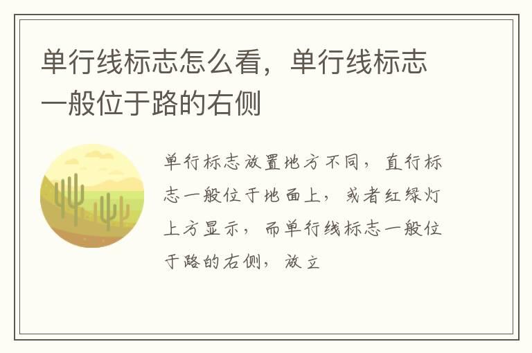 单行线标志怎么看，单行线标志一般位于路的右侧