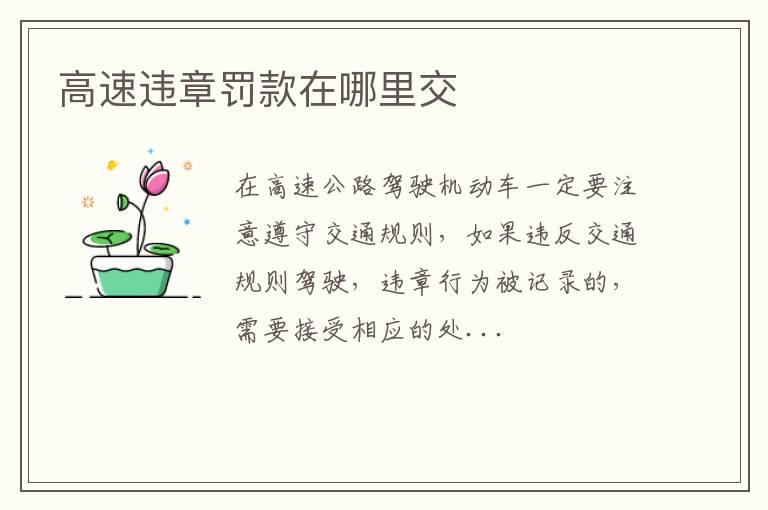 高速违章罚款在哪里交
