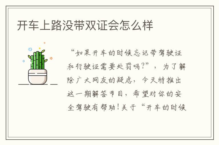 开车上路没带双证会怎么样