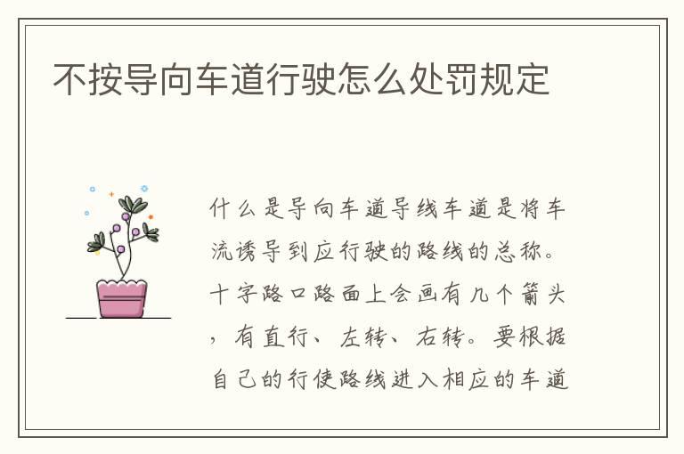 不按导向车道行驶怎么处罚规定