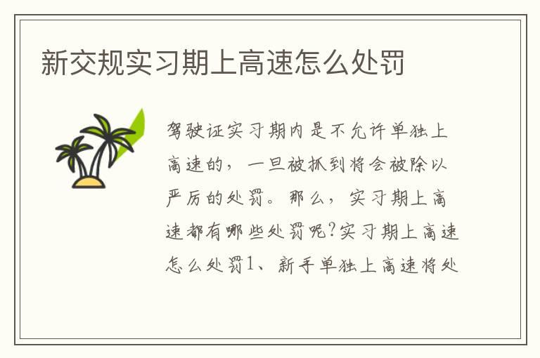 新交规实习期上高速怎么处罚