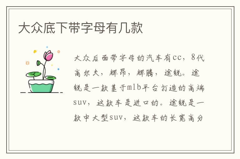 大众底下带字母有几款