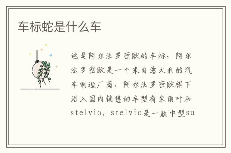 车标蛇是什么车
