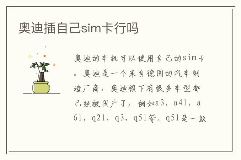 奥迪插自己sim卡行吗