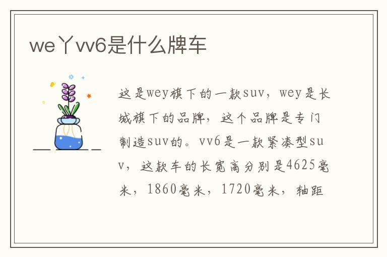 we丫vv6是什么牌车