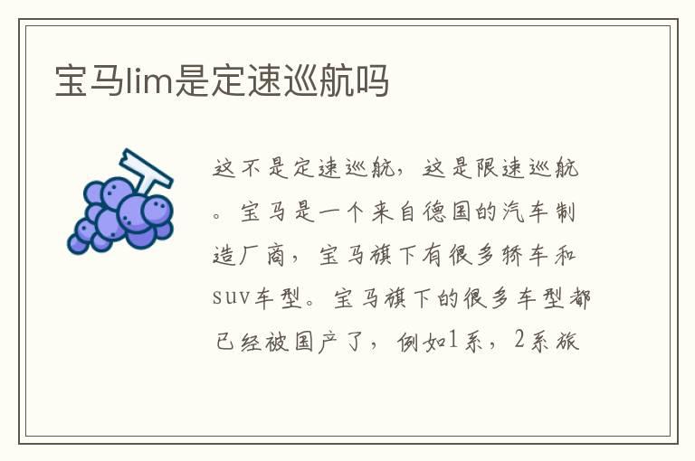 宝马lim是定速巡航吗