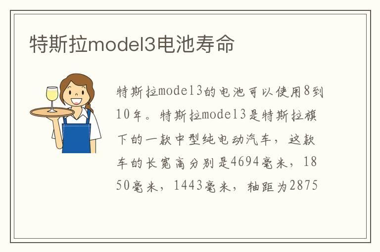 特斯拉model3电池寿命