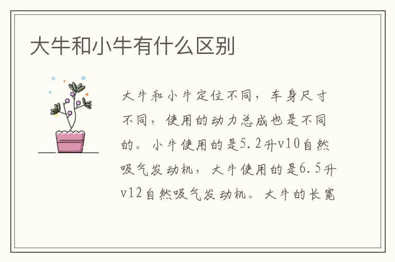 大牛和小牛有什么区别