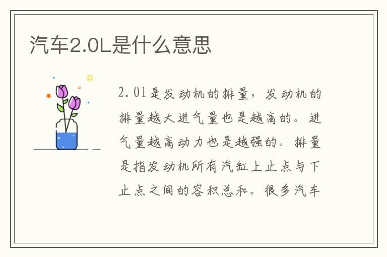 汽车2.0L是什么意思