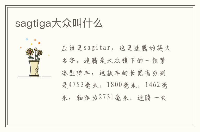 sagtiga大众叫什么